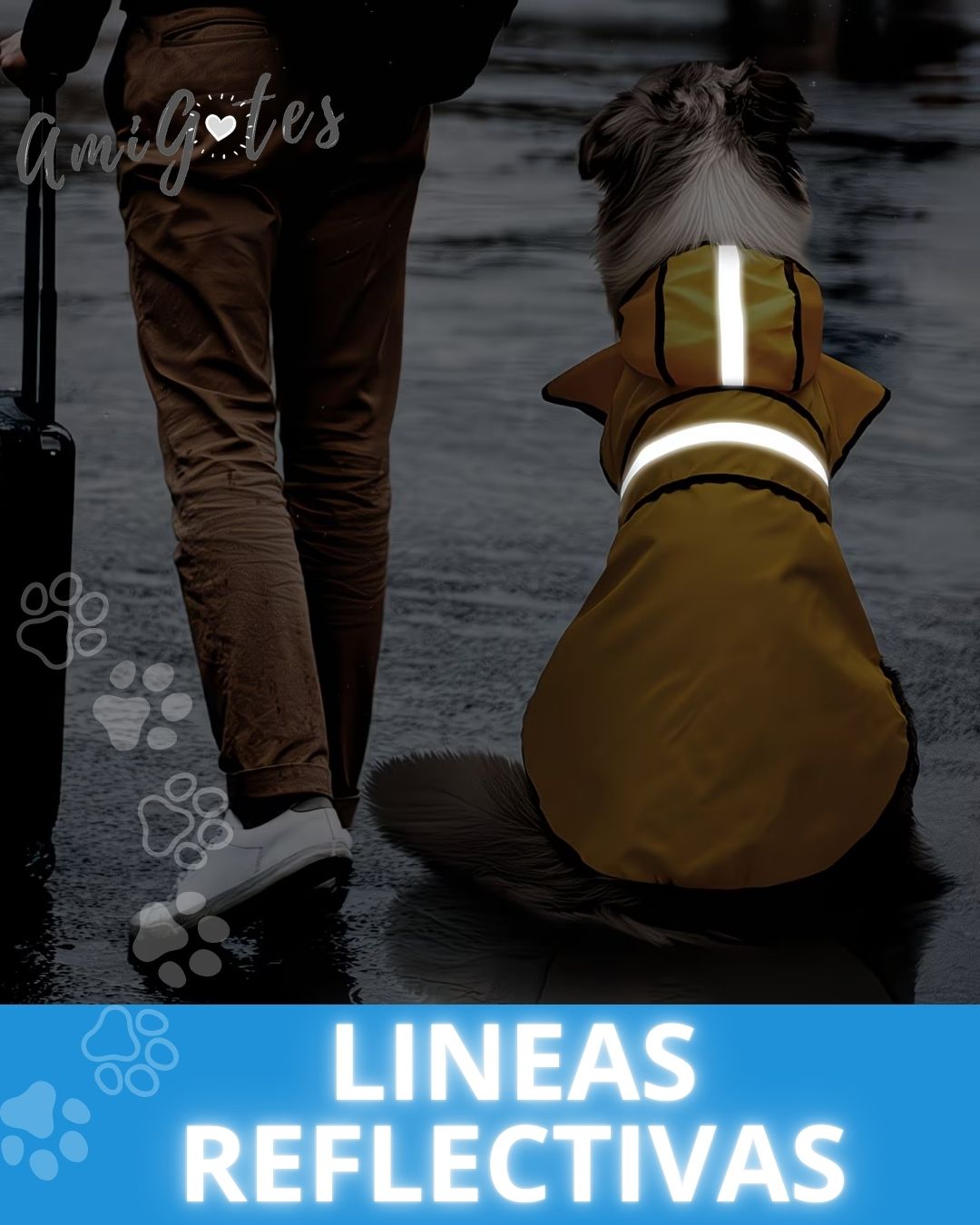 Capas Para Lluvia Raza Mediana Y Grande - Vista alternativa