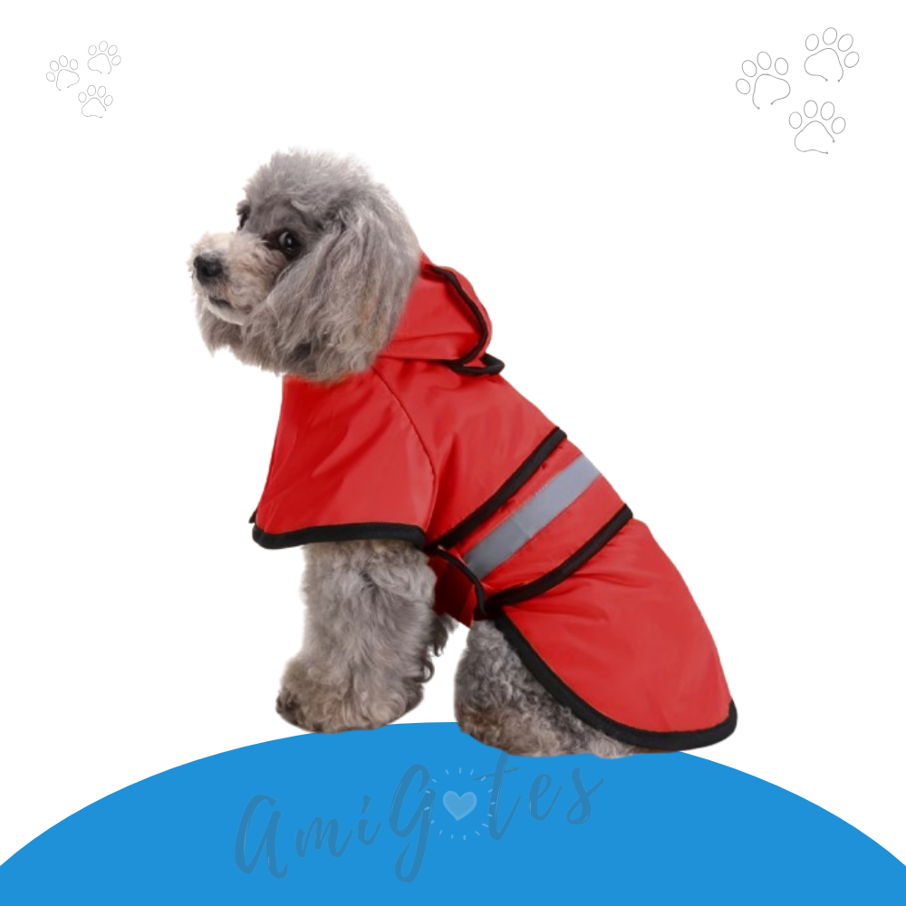 Capas Para Lluvia Raza Mediana Y Grande - Vista alternativa