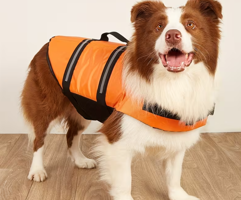 Chaleco Salvavidas Para Perros-m - Vista alternativa