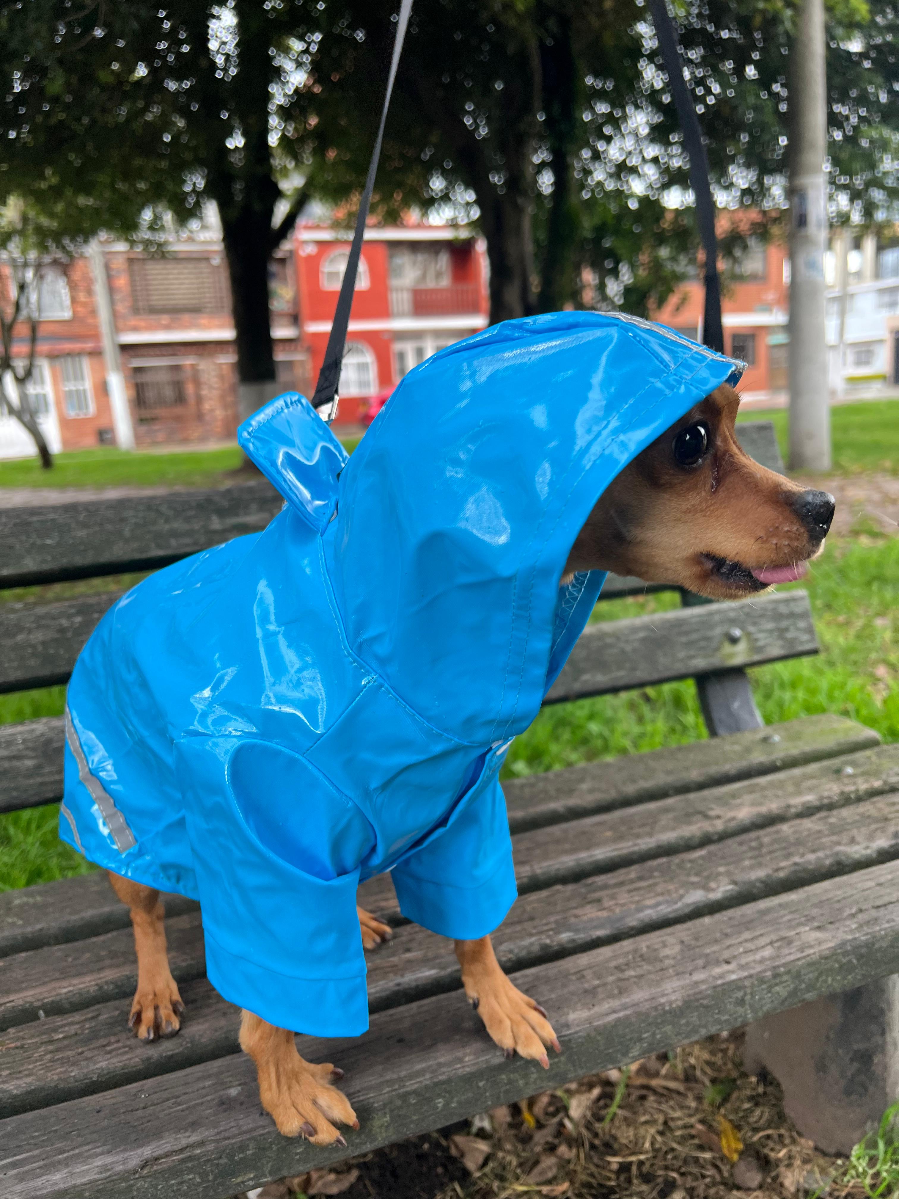 Chaqueta Impermeable Raza Pequeña Talla M - Vista alternativa