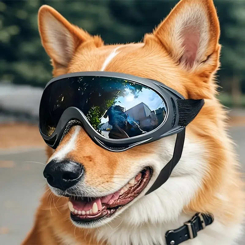 Gafas Para Perros  - Vista alternativa