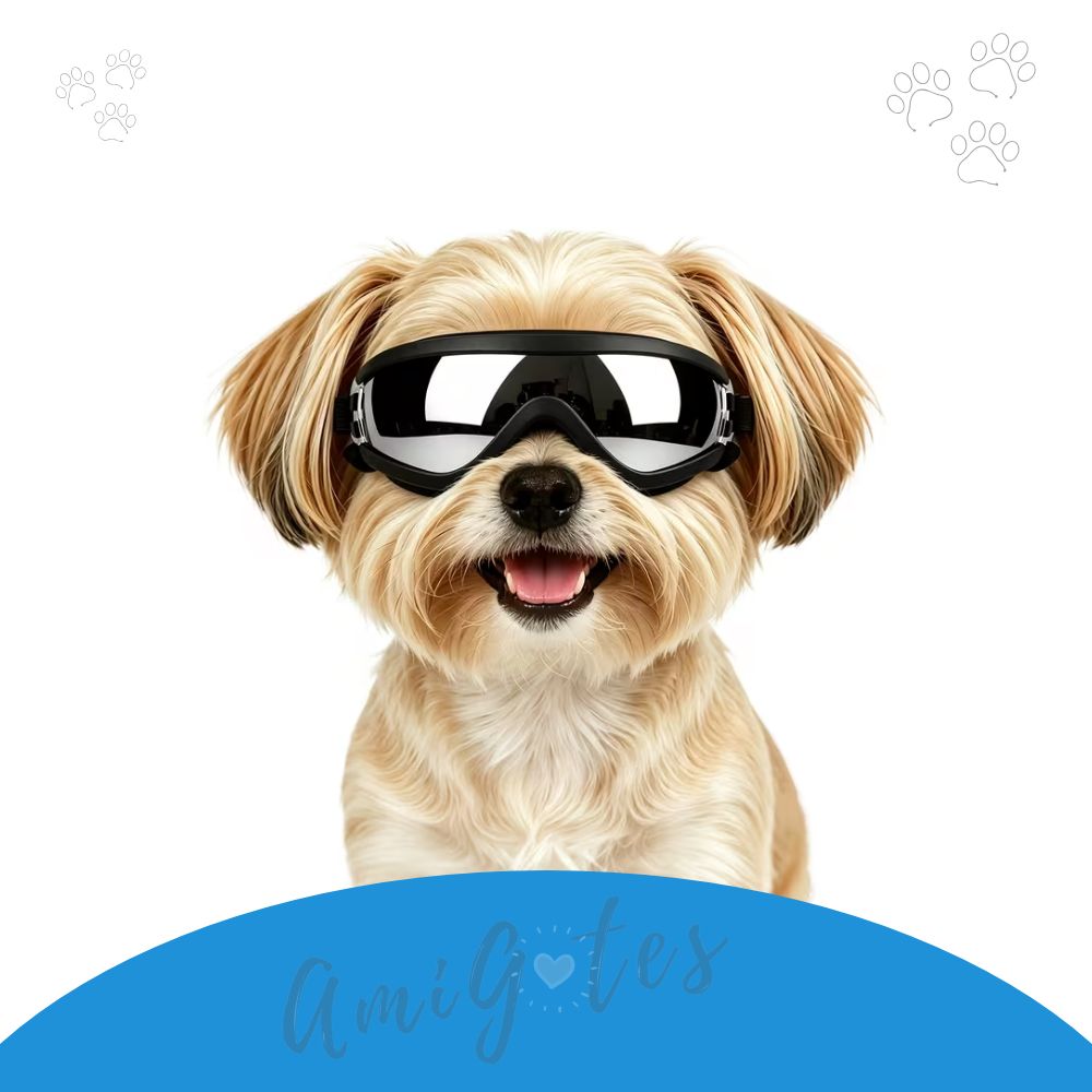 Gafas perritos mini - Comprar en AmigotesShop