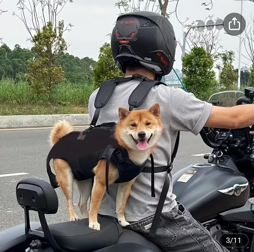 Maleta Cargador Para Mascotas - Talla L - Vista alternativa